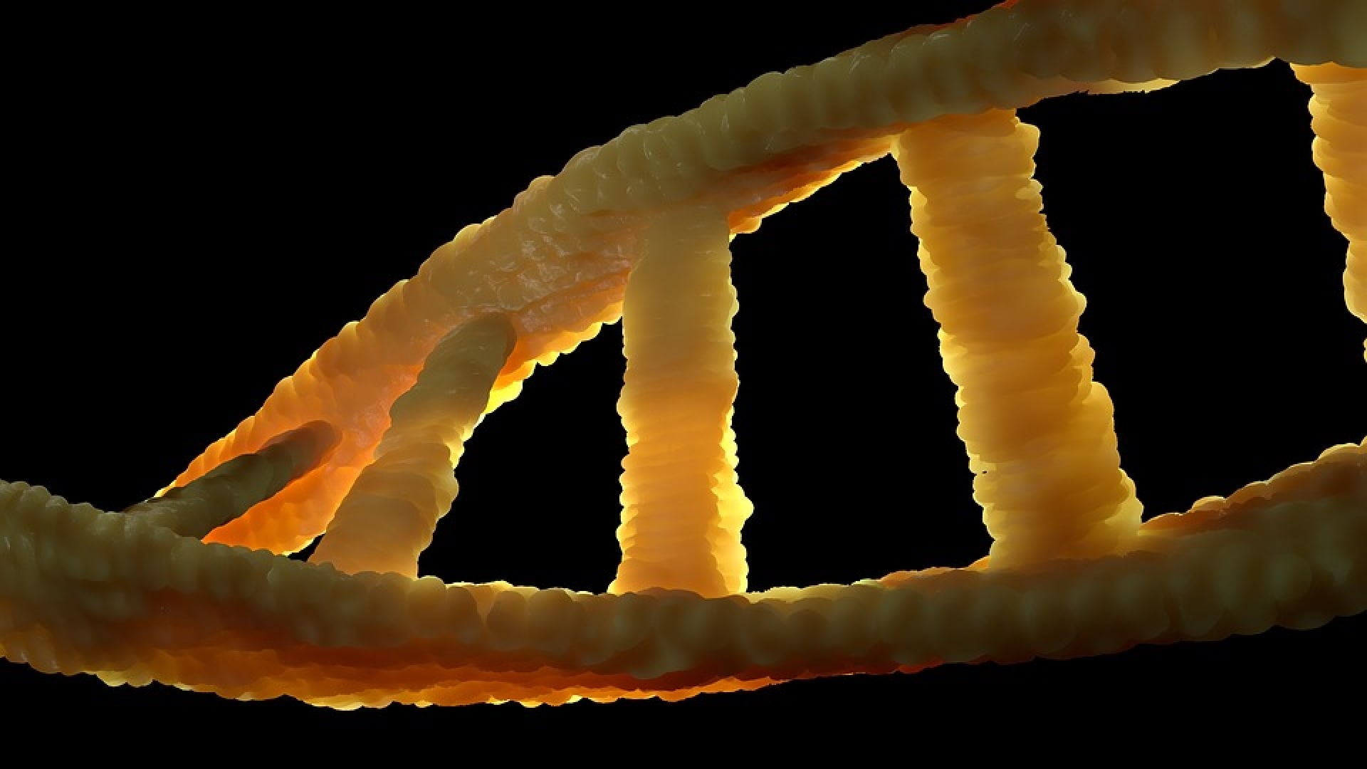 Come è stato scoperto il DNA | Scienze | Rai Scuola